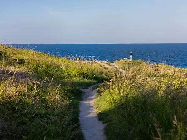 A narrow path through long grass leading towards the sea on a sunny evening