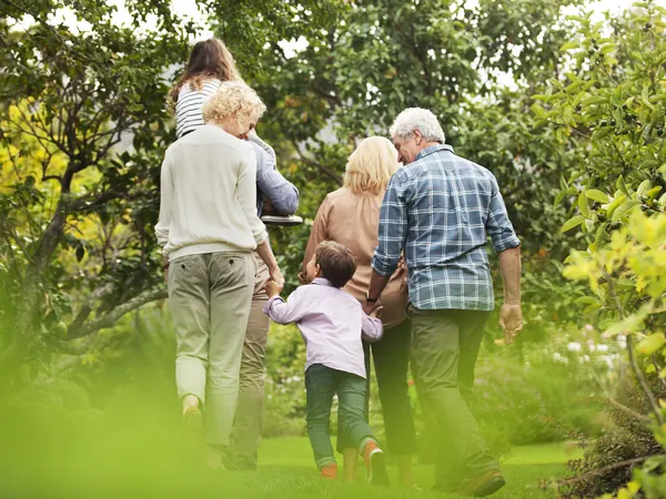Three generations of a family, seen from behind, walking together through a sunny garden, a small boy holding hands with the adults