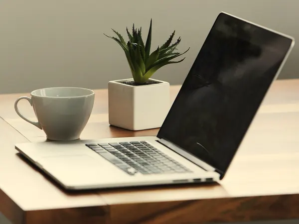An open laptop on a wooden table beside a cup and a small plant